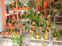 Bild 3 Chemnitzer Blumenring Einzelhandelsgesellschaft mbH in Chemnitz