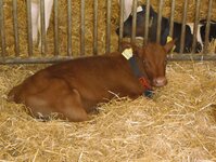 Bild 7 Agrargenossenschaft Tirschendorf e.G. in Tirschendorf