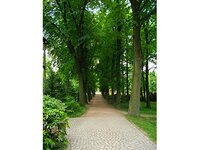 Bild 23 Friedhofsverwaltung Planitz in Zwickau