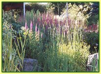 Bild 6 Hornung Andreas Naturgarten-Anlagen in Glauchau
