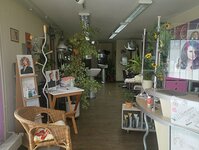 Bild 13 Friseursalon Haarstudio "Daniela" in Löbau