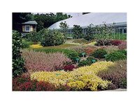Bild 1 Gartenbau Ernst Risse Inh. Reinhild Hellenberg in Coswig