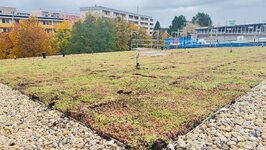 Bild 5 Team Walkowiak in Görlitz