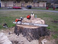 Bild 8 Baumdienst Harzer in Dresden