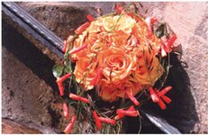 Bild 1 Inh. Kathrin Schmidt in Großschönau