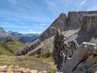 Bild 2 Schückel in Dresden