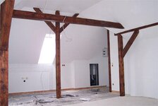 Bild 6 Reh in Niederwiesa