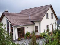 Bild 4 Reh in Niederwiesa