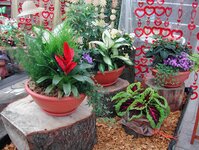 Bild 3 Gartenbaubetrieb Ziegengeist in Zwickau