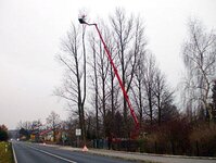 Bild 11 Baum-Haus-Service in Elstra