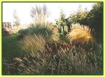 Bild 4 Hornung Andreas Naturgarten-Anlagen in Glauchau