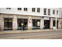 Bild 5 Traum Konzept in Dresden