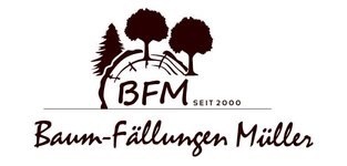 Bild 1 Baumfällungen Müller in Pausa