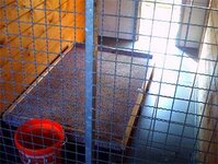 Bild 5 Tierheim Bischdorf in Rosenbach