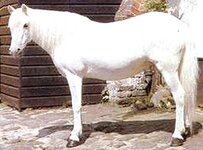 Bild 4 Kühn's Maler GmbH in Chemnitz