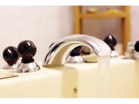 Bild 6 Schröter in Dresden