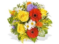 Bild 1 Gärtnerei Klaus Bretschneider in Stützengrün