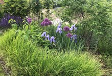 Bild 1 Gartengestaltung Nickerl in Werdau