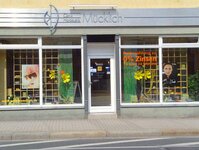 Bild 1 Optik Mücklich in Freital