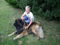 Bild 6 Tierpension Niederau in Niederau