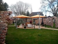 Bild 1 Wolf Thomas Wolf & Rabenhorst in Dresden