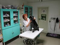 Bild 2 Tierarztpraxis Ralf Beyer in Bautzen