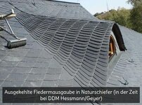 Bild 7 Weigelt in Königswalde