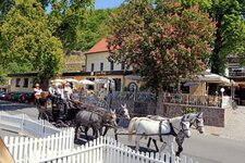 Bild 3 Gasthof Zum Roß in Diesbar-Seußlitz
