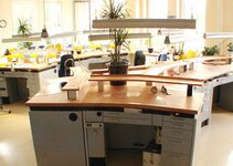 Bild 3 Dental Design Schneider Inh. Silvio Schneider in Waldenburg Sachs