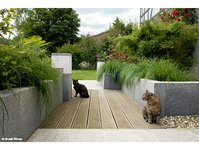 Bild 2 Volkmar Gutsche Garten- u. Landschaftsbau in Werdau