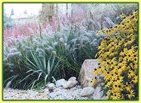 Bild 7 Hornung Andreas Naturgarten-Anlagen in Glauchau