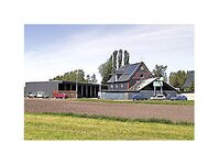 Bild 7 Jens Dittrich Dachdeckermeister in Hartmannsdorf