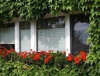 Bild 9 Perfecta Werksvertretung Barthold Fensterwechsel in Chemnitz
