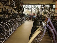 Bild 10 Radsport Kotyrba in Dresden