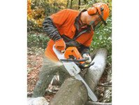 Bild 1 Tille in Malschwitz