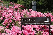 Bild 4 Friedhofsverwaltung Planitz in Zwickau