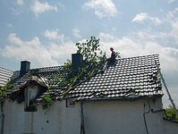 Bild 2 Baum-Haus-Service in Elstra