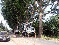 Bild 6 Forstfachbetrieb Radebeul Inh. Jens Erler in Radebeul