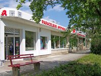 Bild 1 Paracelsus- in Chemnitz