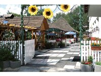 Bild 3 Olympia u. Biergarten in Hoyerswerda