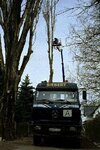 Bild 5 Siebert Containerdienst und Baggerservice GmbH in Hohenstein-Ernstthal