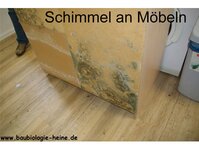 Bild 2 Heine in Kreischa