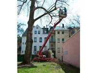 Bild 4 Hausmeister- und Grünlagenservice Hartmut Baum E.K. in Plauen