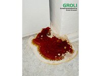 Bild 6 GROLI Schädlingsbekämpfung GmbH in Dresden