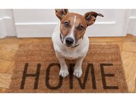 Bild 2 Gemeinnützige Wohnungsbaugesellschaft Niesky mbH in Niesky