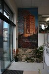 Bild 9 Valtenberg-Apotheke in Neukirch/Lausitz