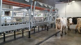 Bild 4 Agrarunternehmen Lauenhain eG in Neukirchen