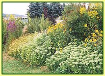 Bild 8 Hornung Andreas Naturgarten-Anlagen in Glauchau