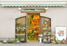 Bild 1 Blumenhaus Ahner in Stollberg/Erzgeb.