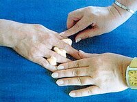 Bild 11 Gärtner in Großröhrsdorf